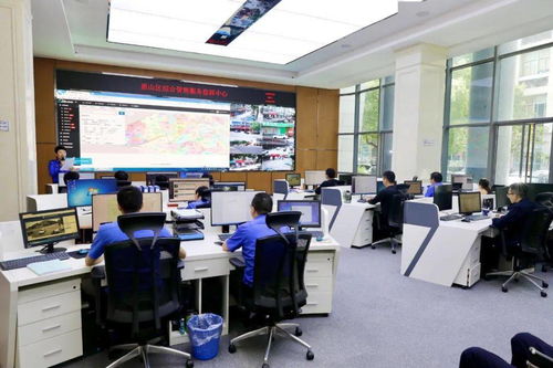 區政協視察全區智慧城管服務系統建設情況 科學化、智能化、智慧化推動城市治理新格局
